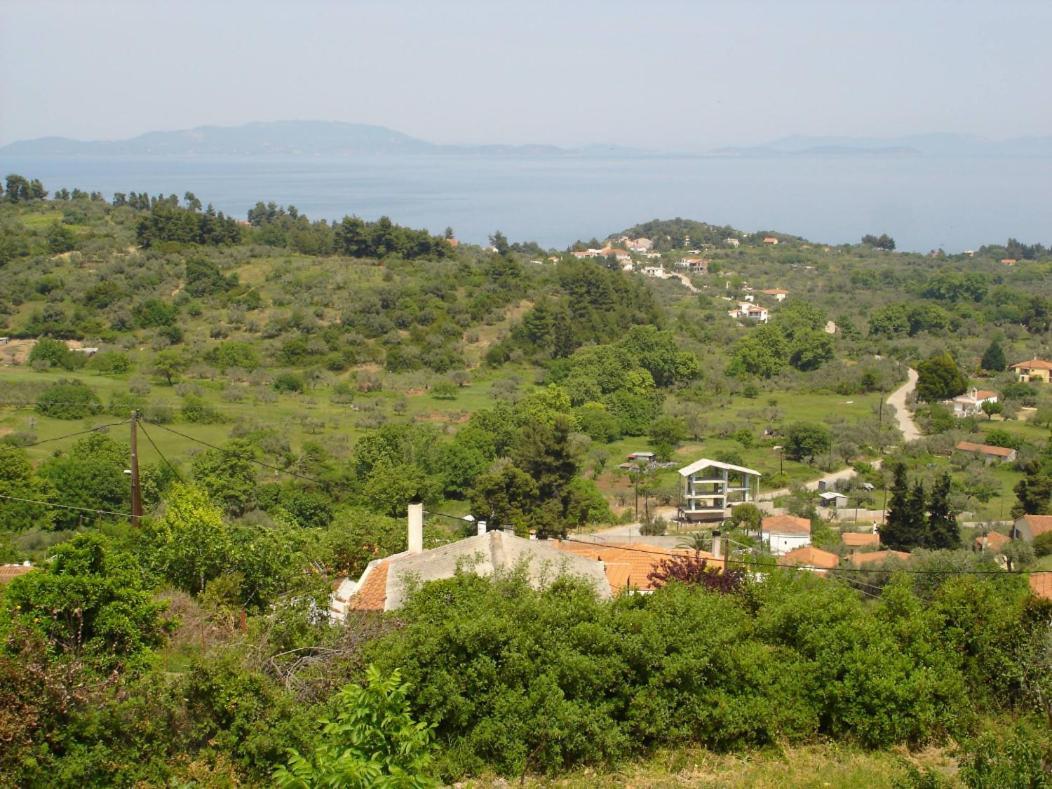 Ilias Appartements Tsaprounis Ellinika  Esterno foto