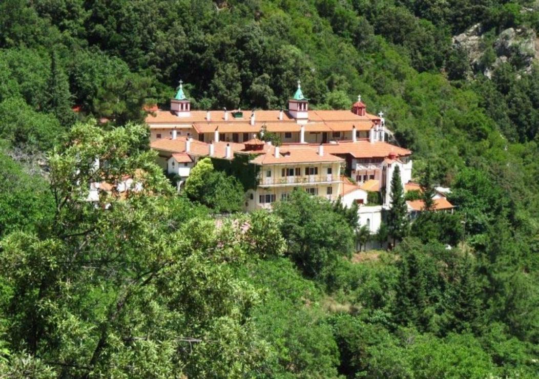 Ilias Appartements Tsaprounis Ellinika  Esterno foto